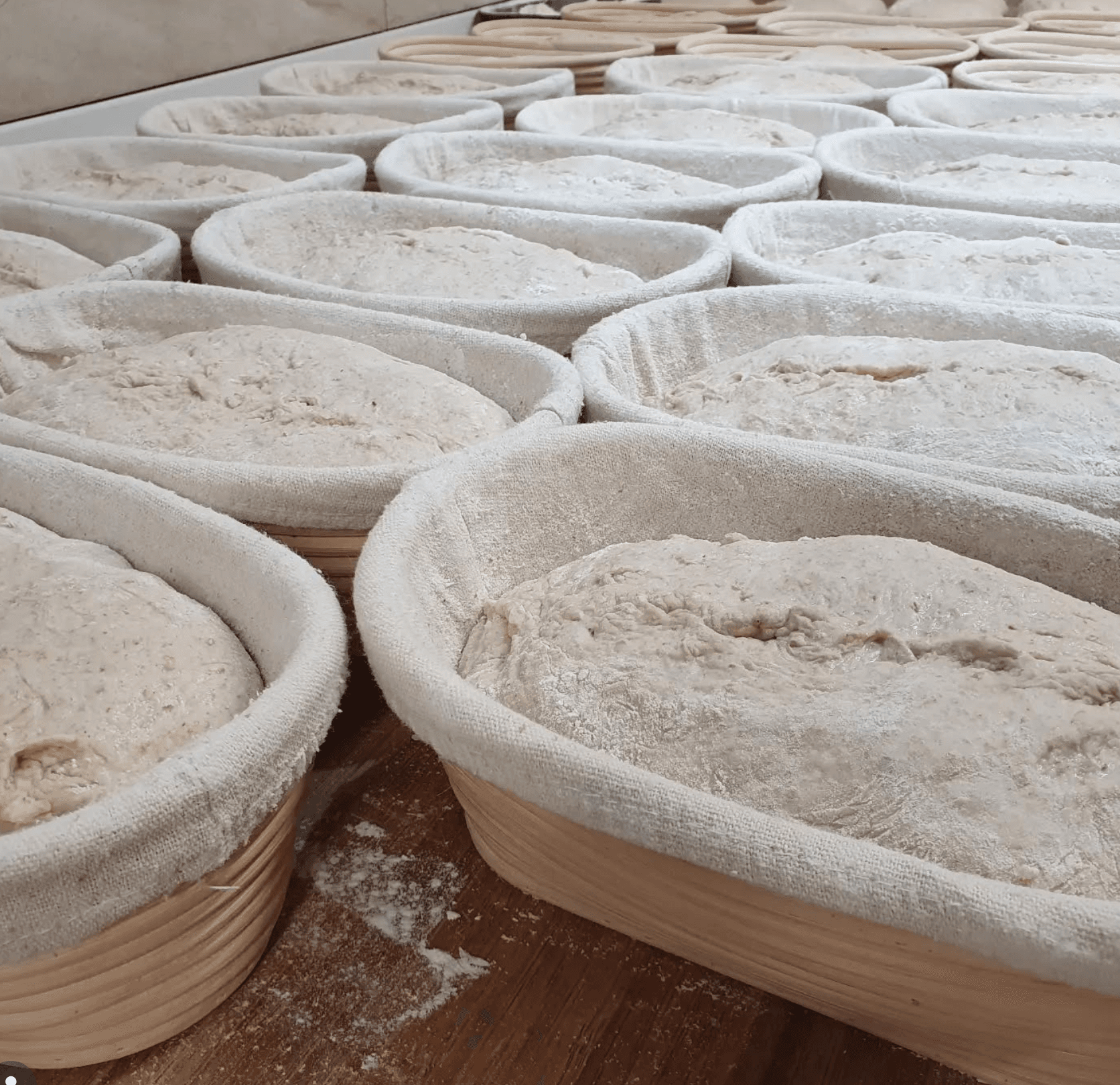 Dough prep trays at House of Bread