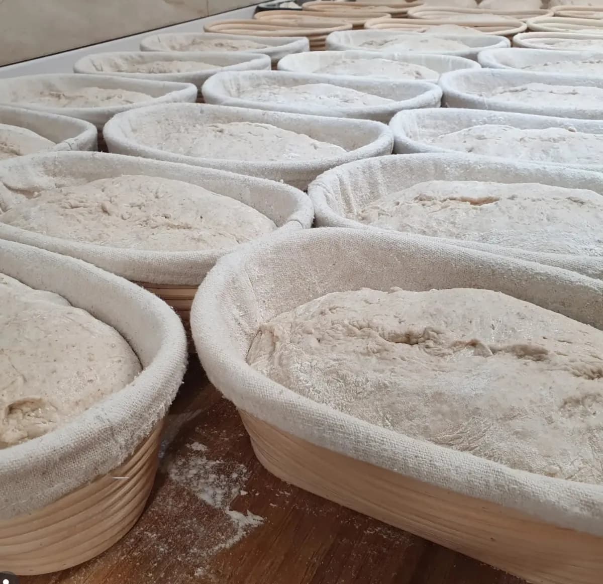 Dough prep trays at House of Bread